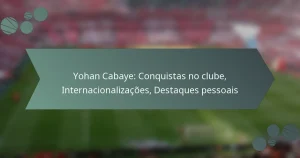 Yohan Cabaye: Conquistas no clube, Internacionalizações, Destaques pessoais